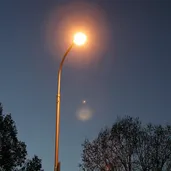Terraillon Lampe de Luminothérapie Connectée Homni : application mobile