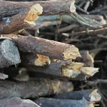 Gracelaza casse-tête en bois 9 pièces