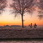 Clignotants pour vélo WingLights - CYCL