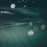 Sublue White Shark Mix Scooter drone Sous-Marin-1