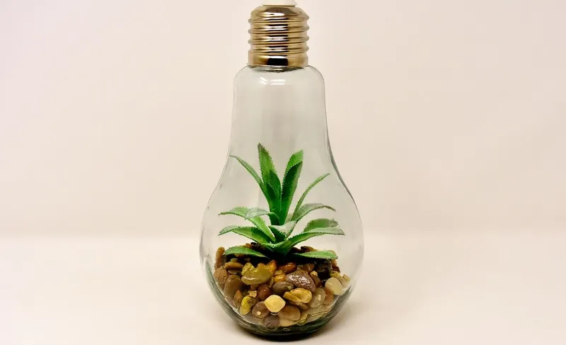 Lampe de luminothérapie à utiliser pour vos plantes