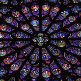 STARK Nettoyeur Vitres Télescopique Electrique 50 - 120 cm-3