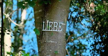 besten verbundenen gärten
