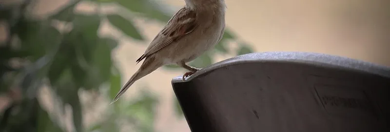 Meilleurs fauteuils relax pliants de jardin lafuma - ergonomie et confort
