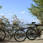 le vélo elliptique CardioCross de SKANDIKA