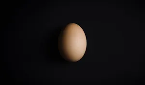 vergleichend eiförmigen hängesessel
