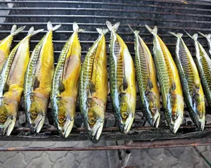 Haba- pescame - pêche miraculeuse