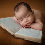 Mouche bébé électrique de Sumgott
