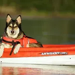Canoë gonflable Explorer K2 - Intex