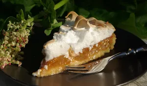 vergleichend thermomix bücher