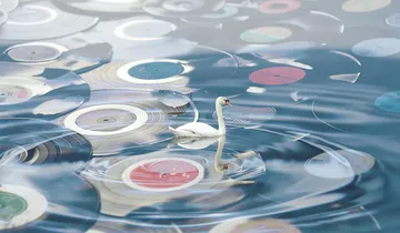 vergleichend vinyl plattenspieler