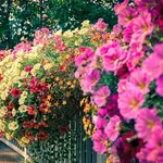 Balancelle jardin sur pied suspendu - JOM