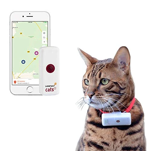 Weenect Cats 2 - Le plus petit collier GPS pour chat au monde