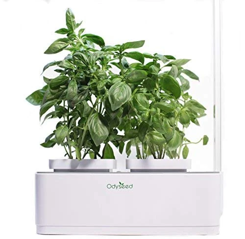 Odyseed Gemüsegarten für den Innenbereich | Vielzahl Organischer und Europäischer Ursprungssamen | Automatische Bewässerungs- und Beleuchtungstechnik | Umweltfreundlich biologisch | 40 x 14 x 37 cm