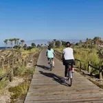 le vélo elliptique CX625 de Sportstech