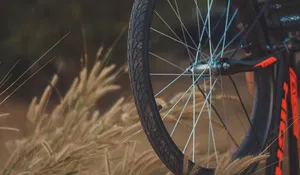 vergleichend spinning fahrräder