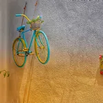 Clignotant pour vélo arrière – CKB LTD
